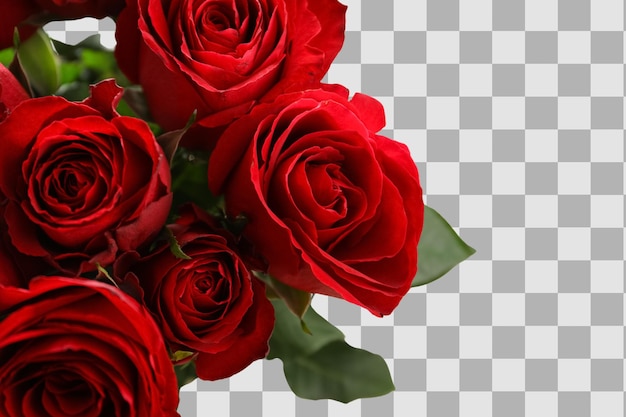 Bouquet of red roses Platz für Text, der auf weißem Hintergrund isoliert ist PNG