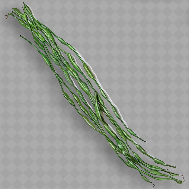 PSD un bouquet d'oignons verts qui sont sur un fond transparent