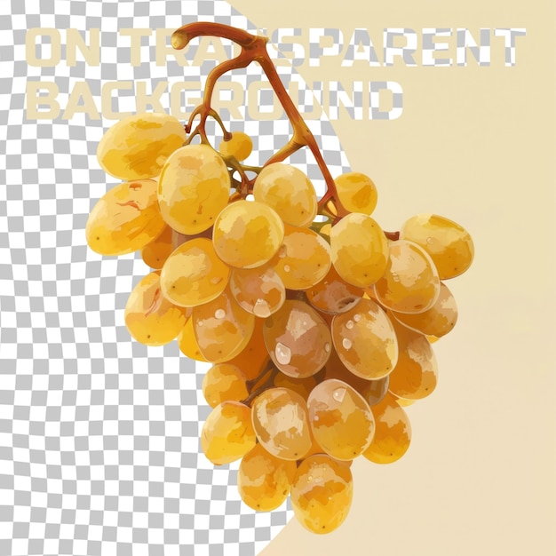 PSD un bouquet de raisins qui dit vieille banque sur un écran