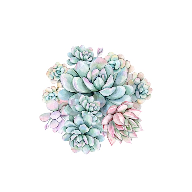 PSD bouquet de succulents