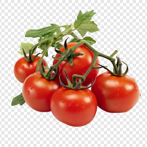PSD un bouquet de tomates avec une tige verte