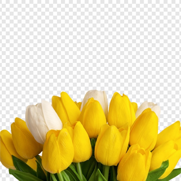 un bouquet de tulipes