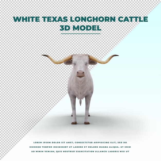 PSD bovins blancs texas longhorn isolés