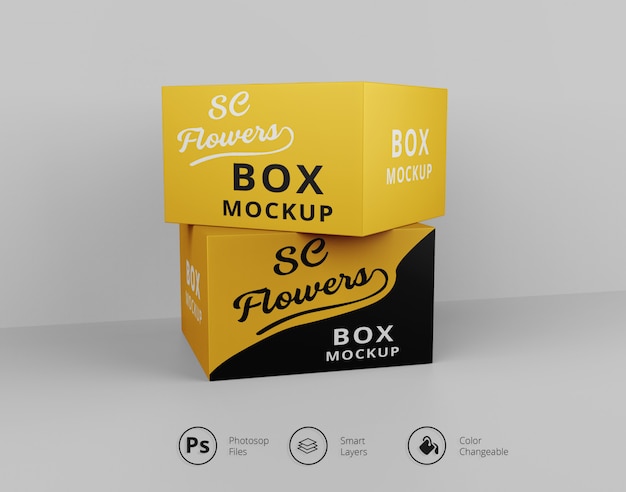 Box Mock-ups