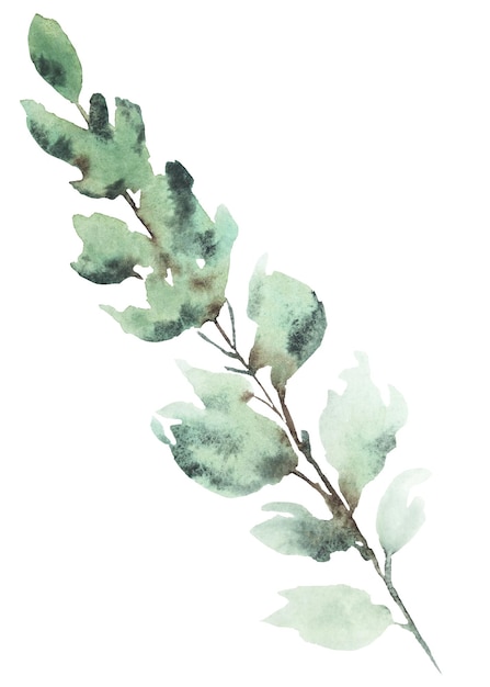 Branche d'aquarelle avec des feuilles vert clair illustration isolée élément de papeterie de mariage pastel