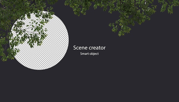 branche d'arbre 3D isolée