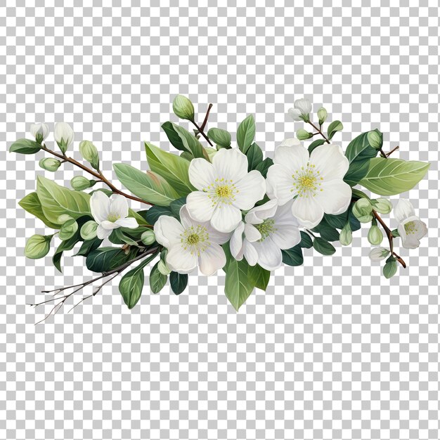 PSD branche d'une plante avec des fleurs sur un fond transparent