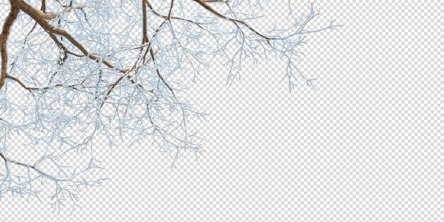 PSD branches couvertes de neige d'un arbre sur blanc