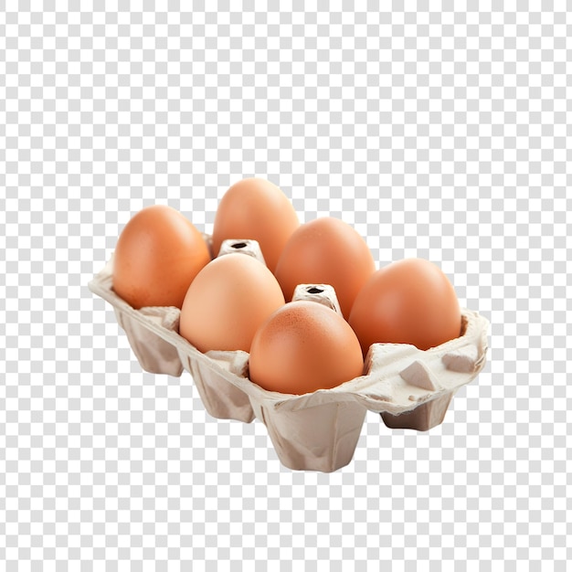 braune Eier in einem Eierkarton auf durchsichtigem Hintergrund