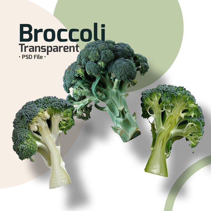 PSD broccoli png transparent green vegetables