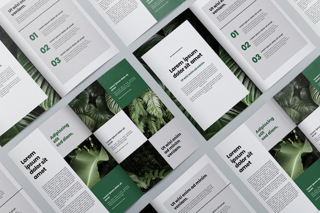 Brochure concept mock-up