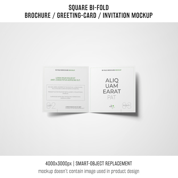 Brochure professionnelle bi-pli ou maquette de carte de voeux