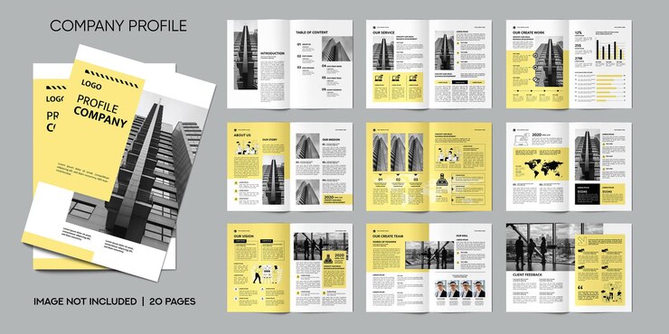 PSD brochure sur le profil de l'entreprise