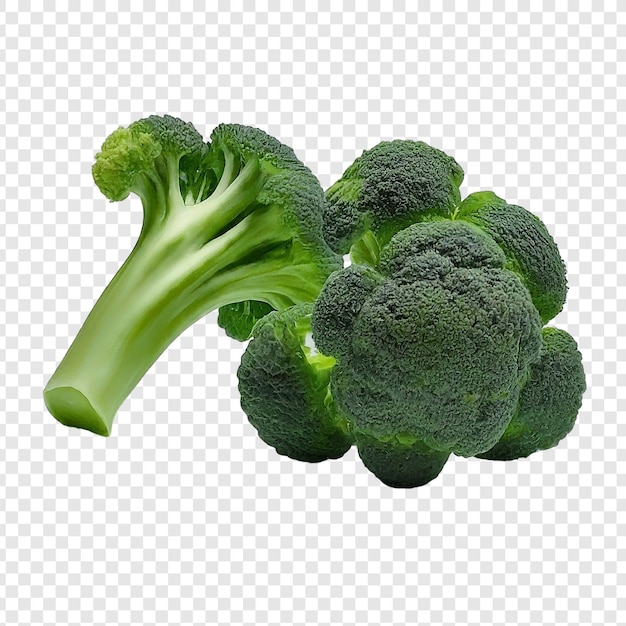 Brokkoli isoliert png auf durchsichtigem Hintergrund Premium PSD