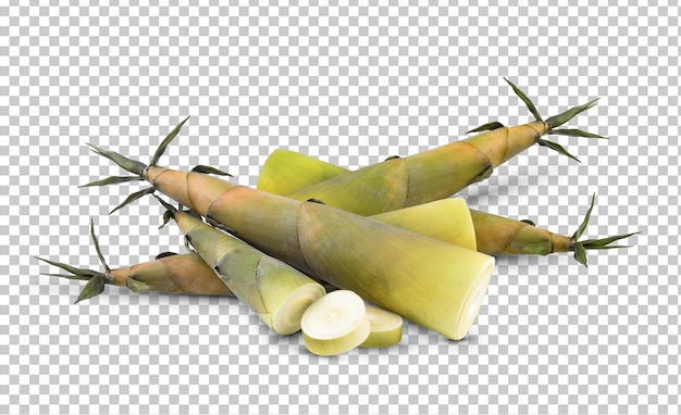 Brotos de bambu isolados no fundo branco