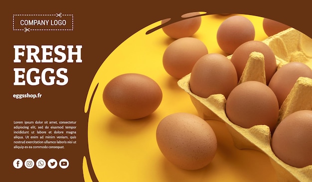 Brown chicken eggs in cardboard box
