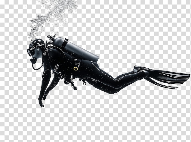 PSD buceador con traje de buceo negro en un fondo transparente