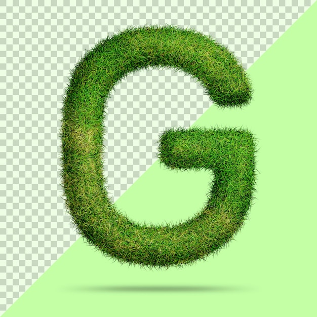 Buchstabe g mit realistischem 3d-gras