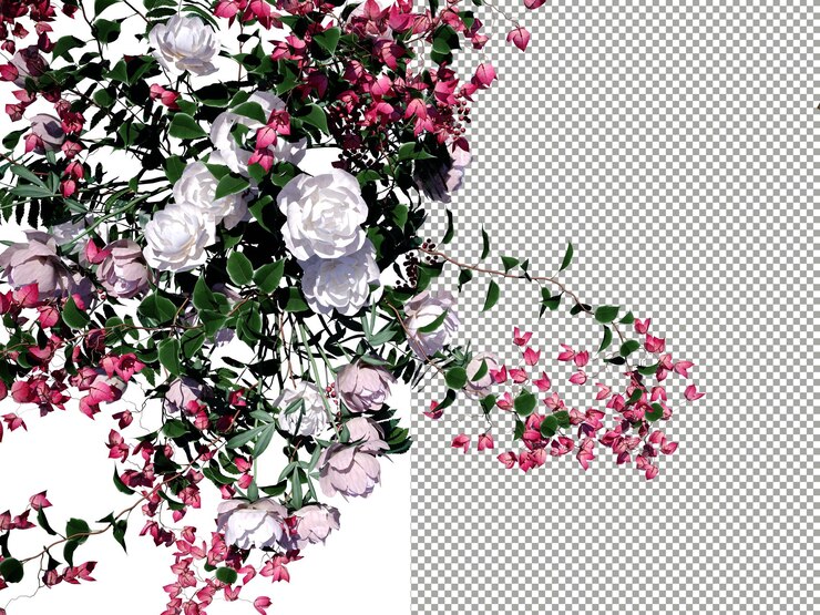 PSD buganvillas y rosas sobre fondo transparente renderizado 3d