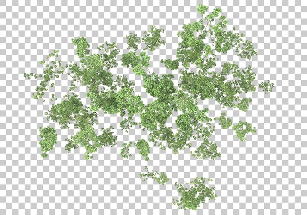 Buisson vert avec fond transparent illustration de rendu 3d