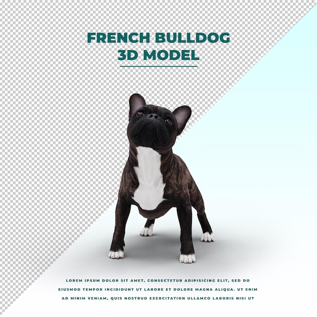 PSD bulldog français