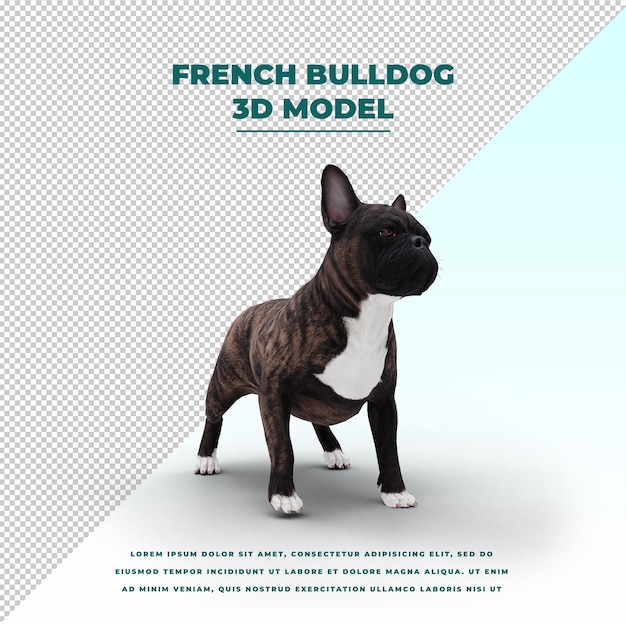 Bulldog francés