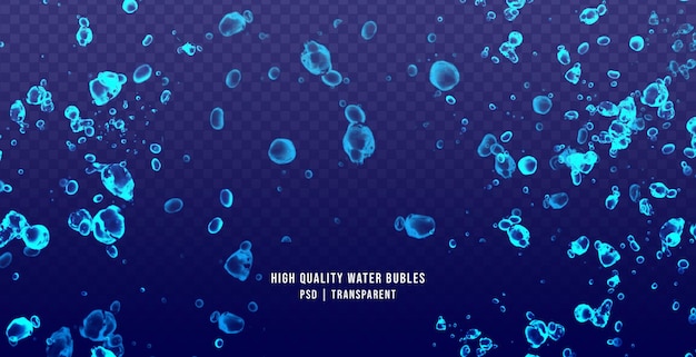Burbujas de agua realistas de alta calidad aisladas sobre fondo transparente Burbujas de agua superpuestas
