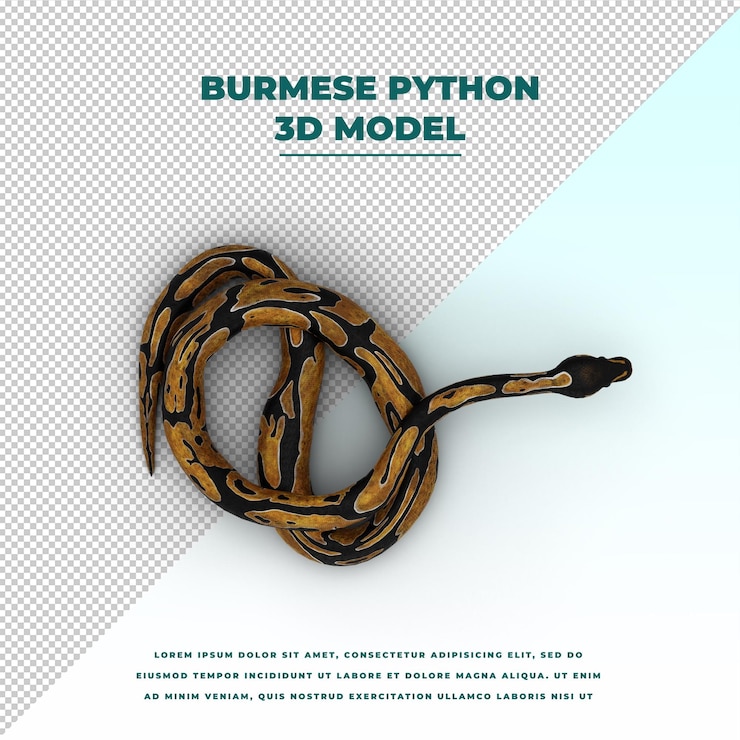PSD burmesische python