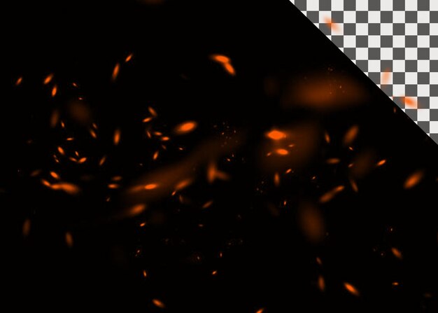 Burning Embers on Black Background