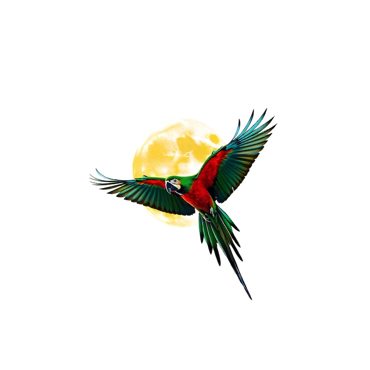 PSD burung beo di bawah sinar bulan