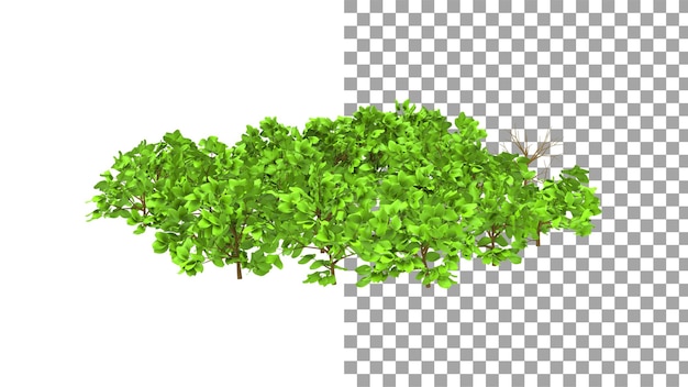 Bush sin sombra 3d render