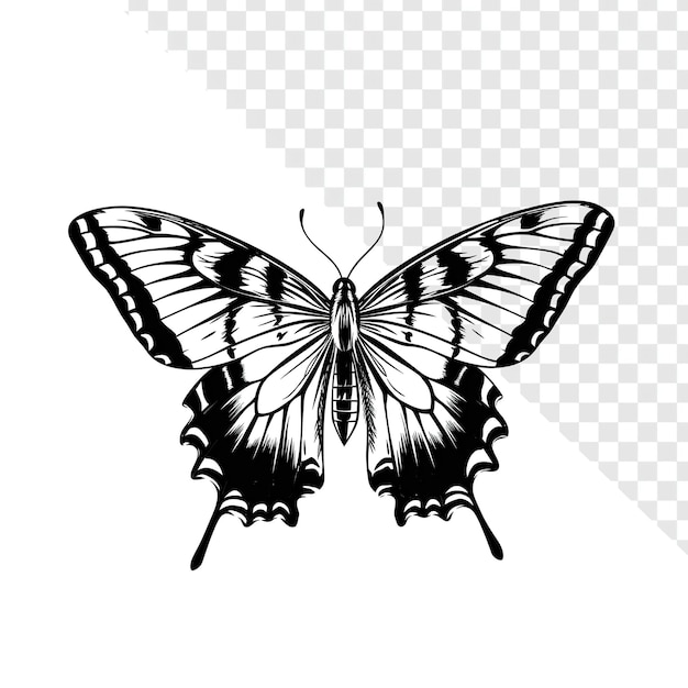 Butterfly a coda di rondine a due code Disegno di linea semplice