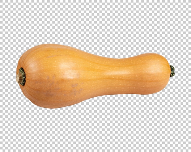 Butternut-Kürbis, bekannt in Australien, Butternut - Kürbis, durchsichtiger Hintergrund, PNG
