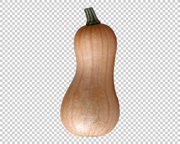 Butternut-Kürbis, bekannt in Australien, Butternut - Kürbis, durchsichtiger Hintergrund, PNG