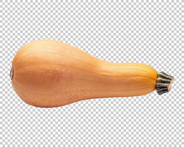 Butternut-Kürbis, bekannt in Australien, Butternut - Kürbis, durchsichtiger Hintergrund, PNG