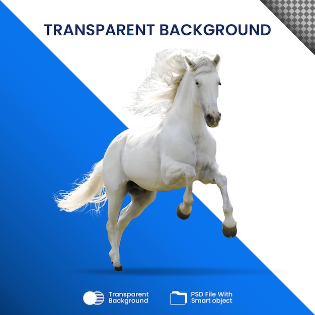 PSD caballo transparente