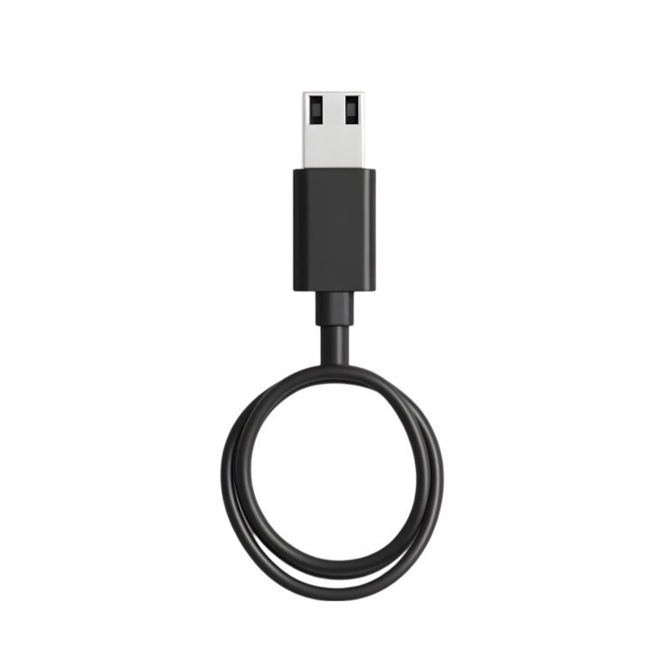 PSD el cable de carga usb-c negro corto