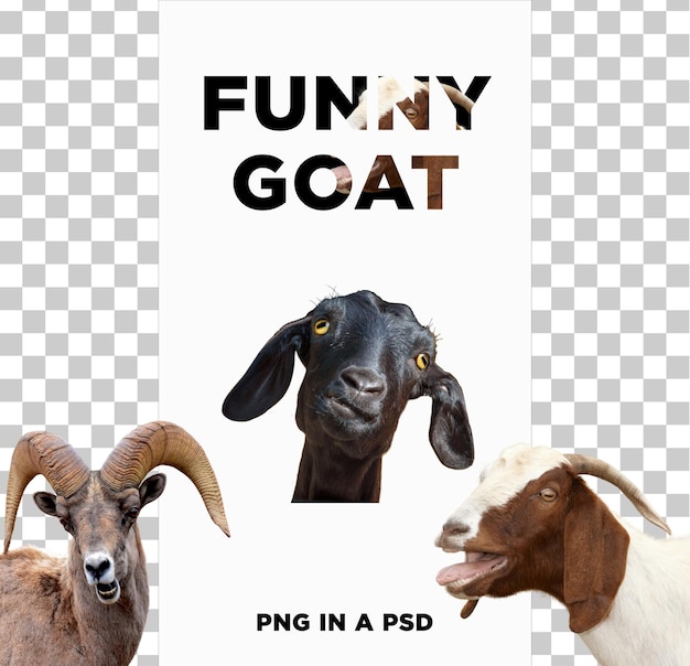 Una cabra divertida en PNG en un PSD