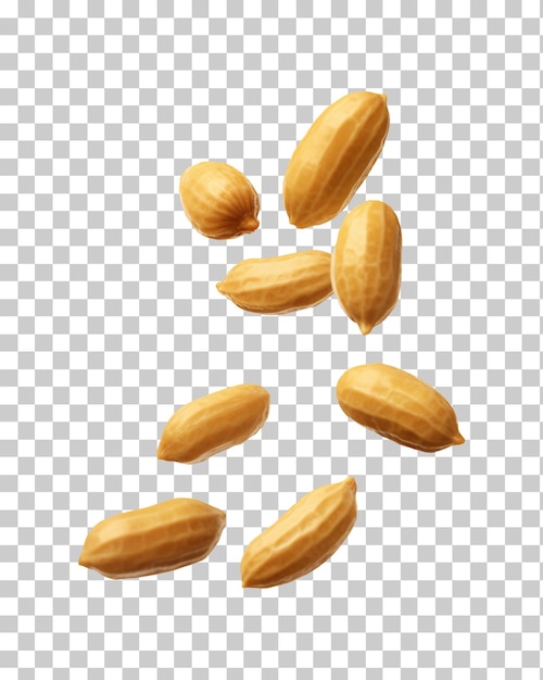 Los cacahuetes que caen aislados en un fondo transparente png psd
