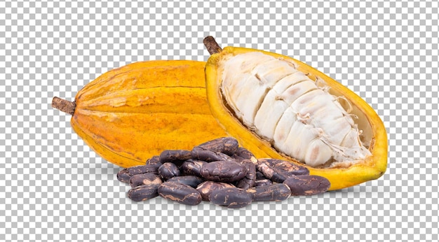 Cacao aislado en capa alfa