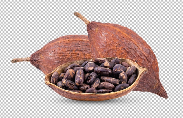 Cacao aislado en capa alfa