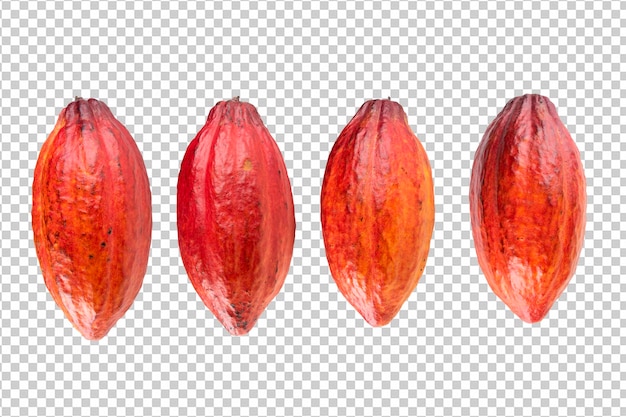 Cacao fruta fondo transparente png