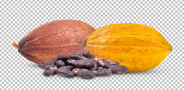 Cacao isolé sur couche alpha