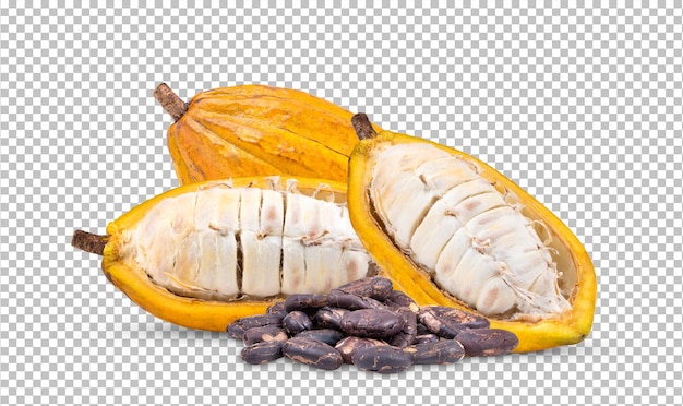 Cacao Isolé Sur Couche Alpha