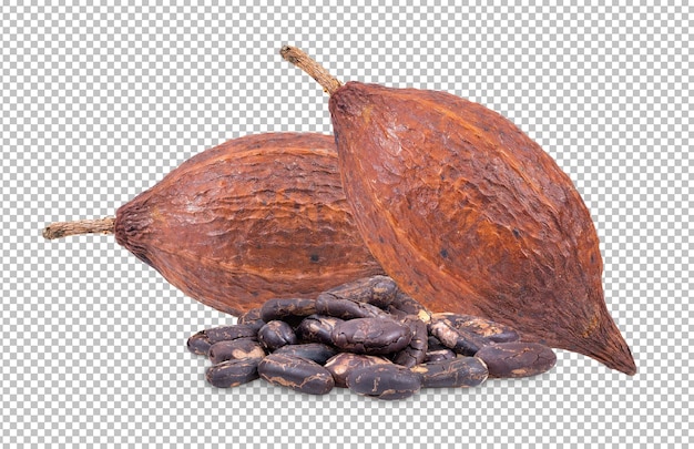 PSD cacao isolé sur couche alpha