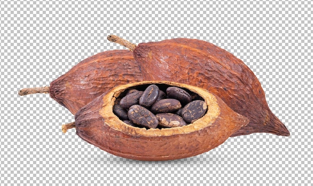 PSD cacao isolé sur couche alpha