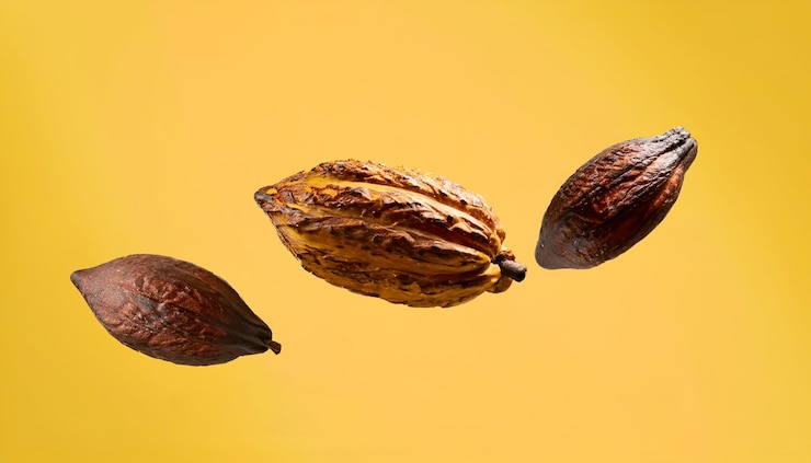 Cacao sobre fondo amarillo psd