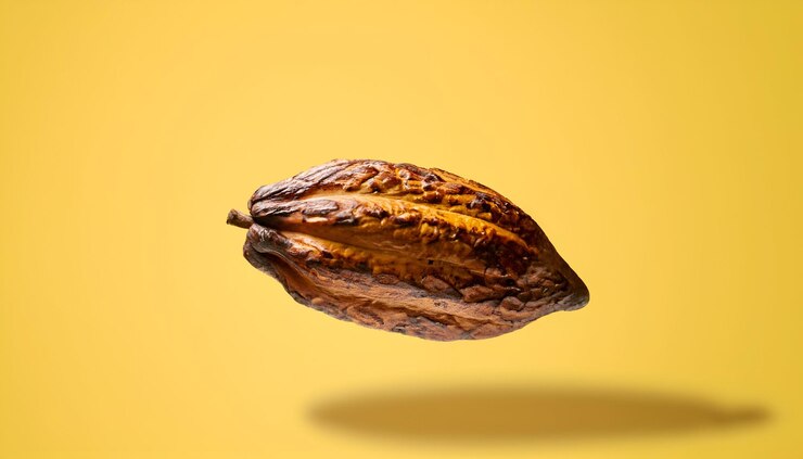 Cacao sobre fondo amarillo psd