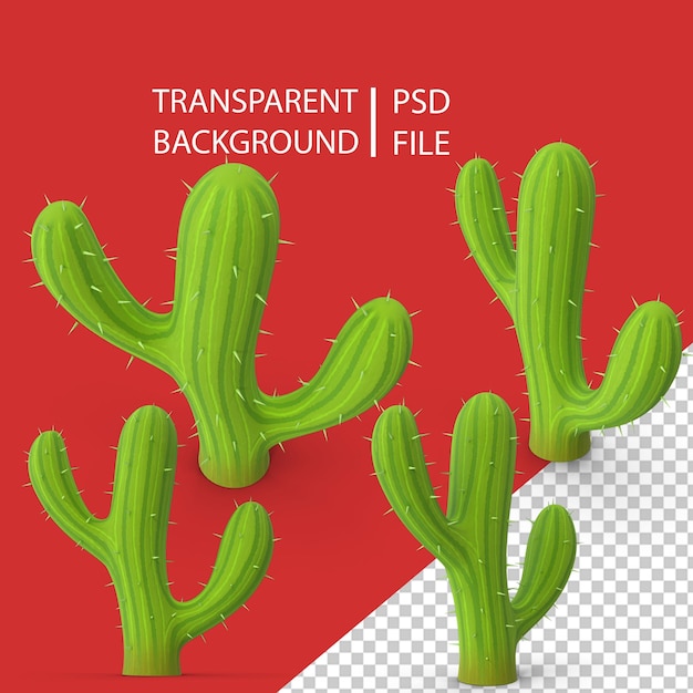 Cactus PNG Images, Vetores E Arquivos PSD