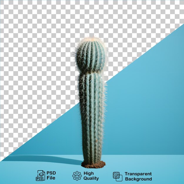 PSD cactus 3d en un archivo png de fondo transparente